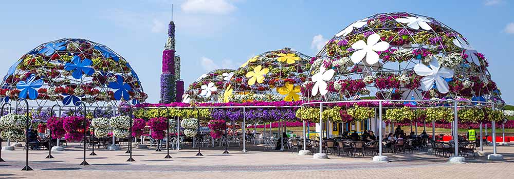 Miracle Garden