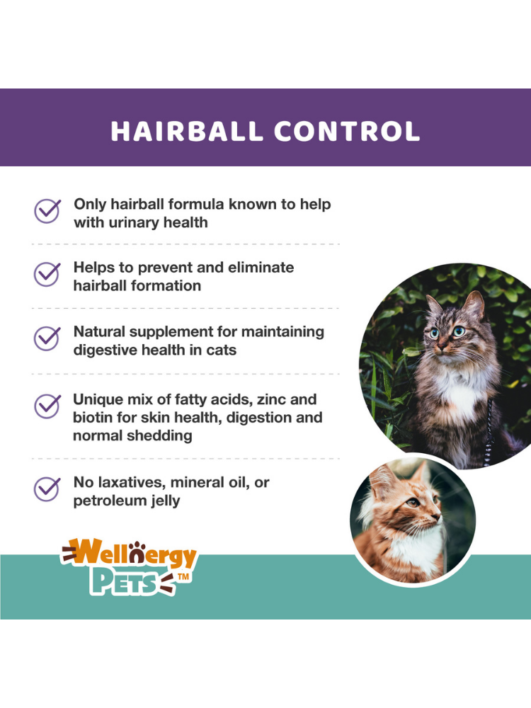 cat hairball remedy