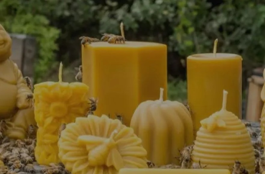 buy bee pollen