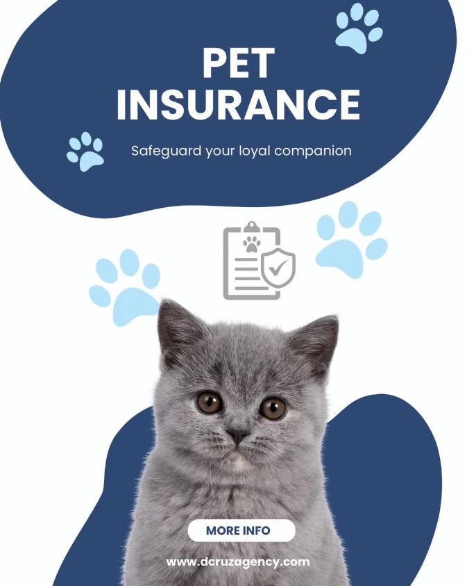 How to Navigate Auto and Truckers Insurance in Bridgeport CT: A 2026 Comprehensive Review