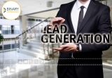 How BANT, HQLs, and Customized Marketing will Rock B2B Industry