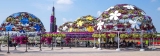 Experience Adventure Walk in Dubai Miracle Garden