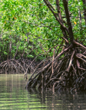 The Best Time to Visit Sundarban: A Seasonal Guide