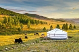 Amazing Points about Mongolia Tour Package